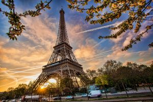 Travel Agency
