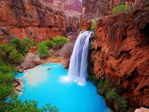 Travel Agency